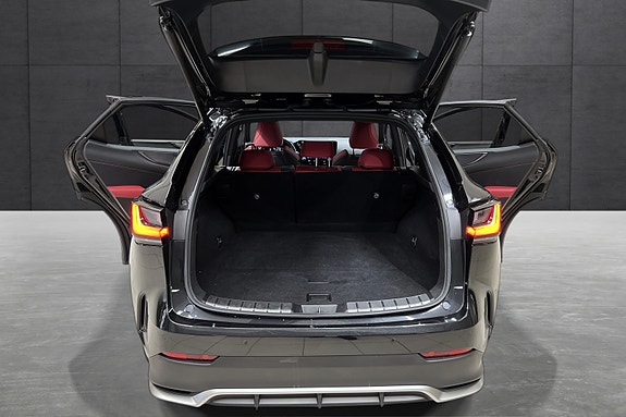 Lexus NX450h 18 of 22