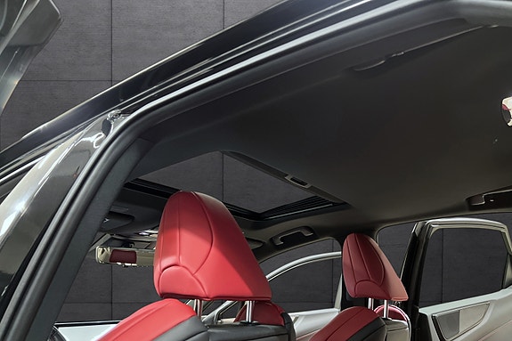 Lexus NX450h 21 of 22