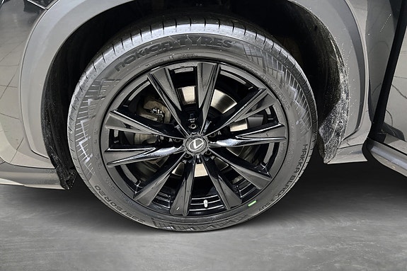 Lexus NX450h 20 of 22