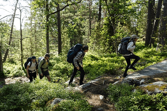 Bilde 1 av 1 i jobbannonse-galleriet