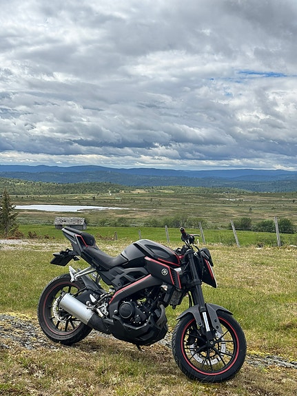 Yamaha MT-125 11 of 12