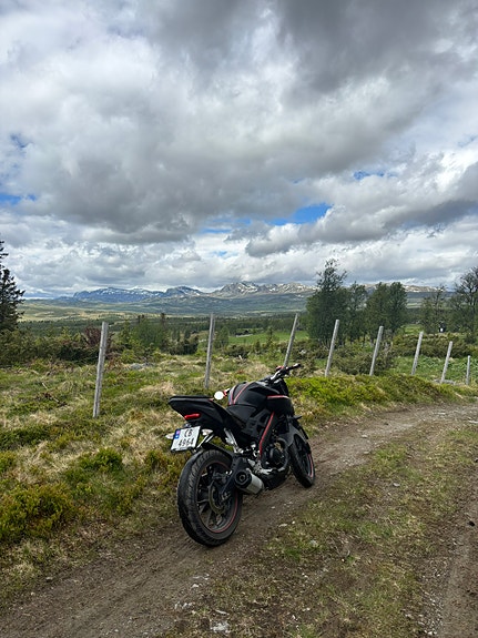 Yamaha MT-125 12 of 12