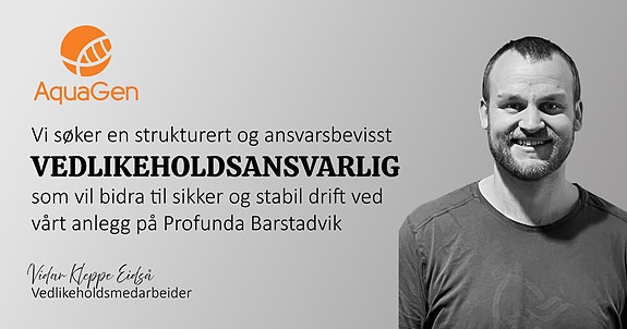 Bilde 1 av 1 i jobbannonse-galleriet
