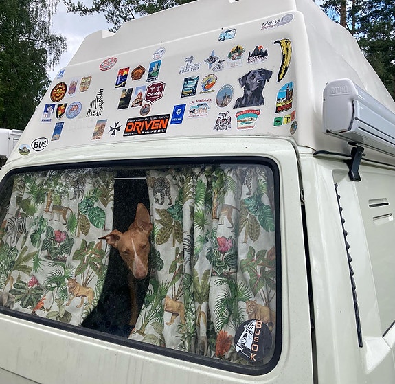 Volkswagen Transporter 13 of 30
