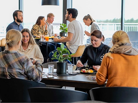 Bilde 4 av 8 i jobbannonse-galleriet