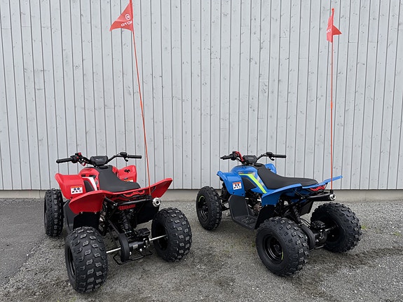 CFMOTO CFORCE 110 EFI 5 of 15