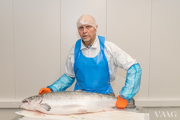 Stor laks, lansert i VAAG 2026