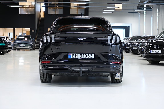 Ford Mustang Mach-E 7 of 30