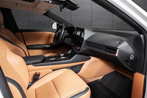 Lexus RZ450e 16 of 20