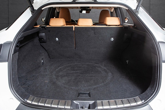Lexus RZ450e 17 of 20