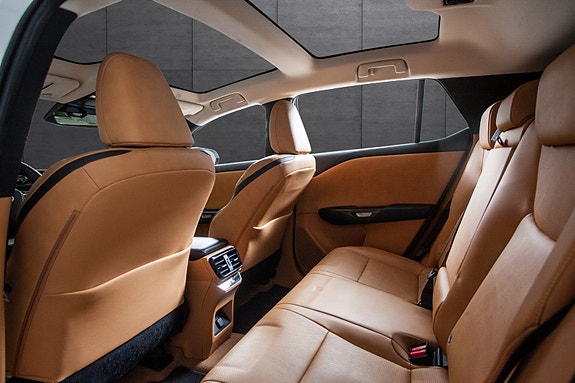 Lexus RZ450e 14 of 20