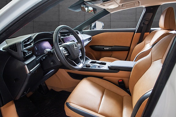 Lexus RZ450e 8 of 20