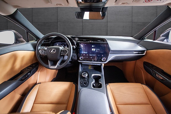 Lexus RZ450e 7 of 20