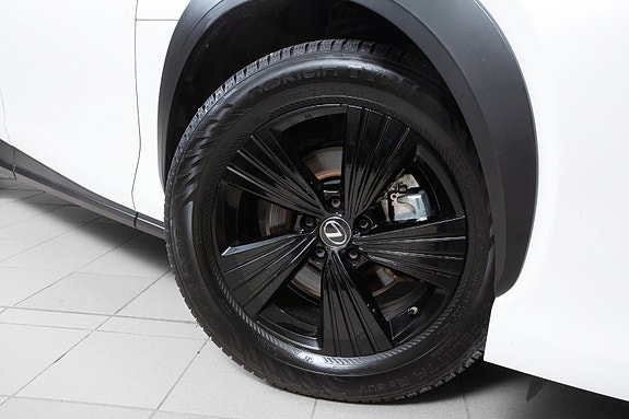 Lexus RZ450e 18 of 20