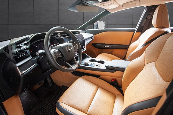 Lexus RZ450e 8 of 20