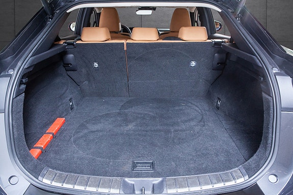Lexus RZ450e 17 of 20