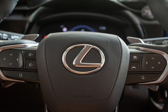 Lexus RZ450e 10 of 20