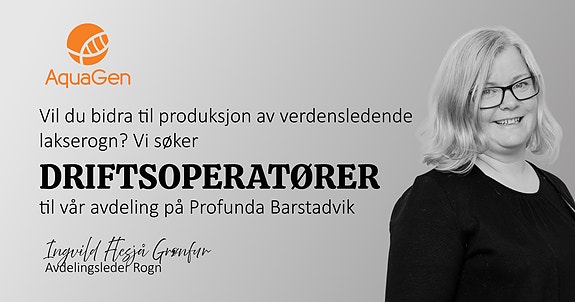 Bilde 1 av 1 i jobbannonse-galleriet
