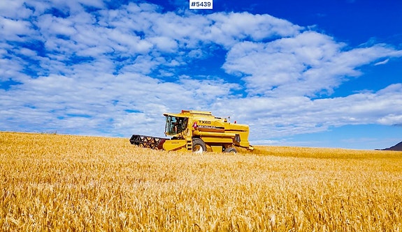 New Holland TX65 m/ 20 fot skjærebord og henger 5 of 5