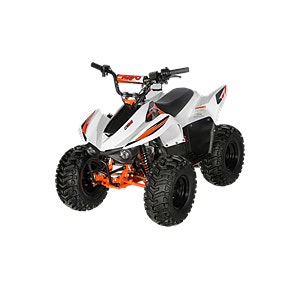 Goes 70/110/180/400/500/1000 ccm Kayo/Goes 13 of 17