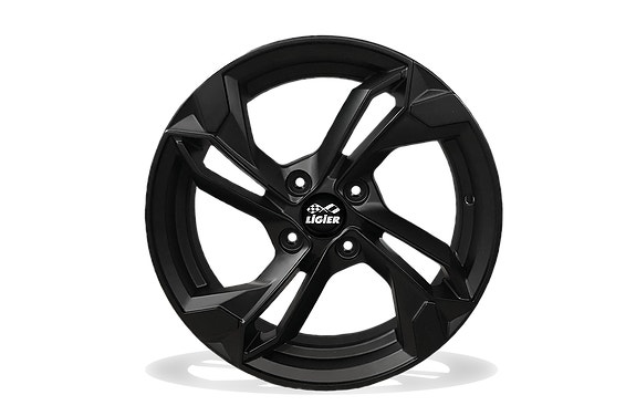 Ligier JS50 Elite EV NYHET! 100% ELEKTRISK 11kWh 5 of 5