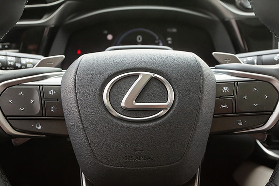 Lexus RZ450e 10 of 20
