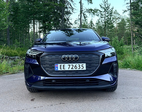 Audi Q4 e-tron 5 of 5