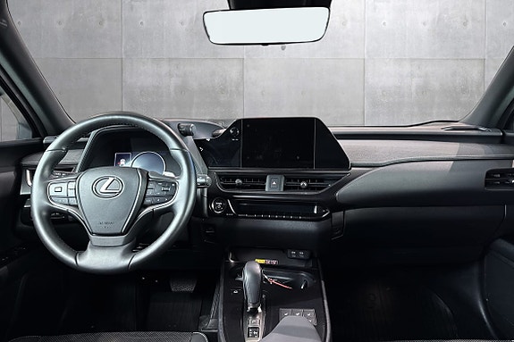 Lexus UX300e 11 of 17