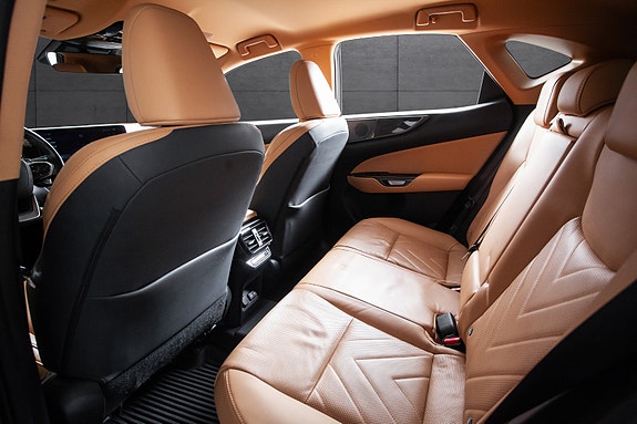 Lexus NX450h 14 of 20