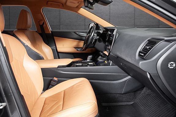 Lexus NX450h 16 of 20