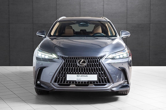 Lexus NX450h 6 of 20
