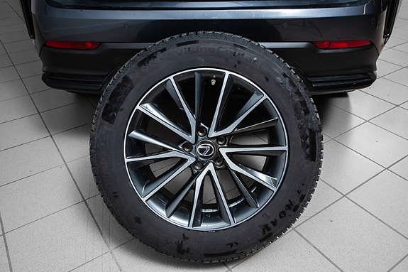 Lexus NX450h 19 of 20