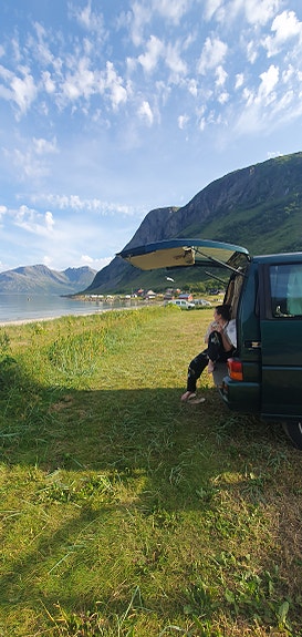 Volkswagen Caravelle 3 of 16