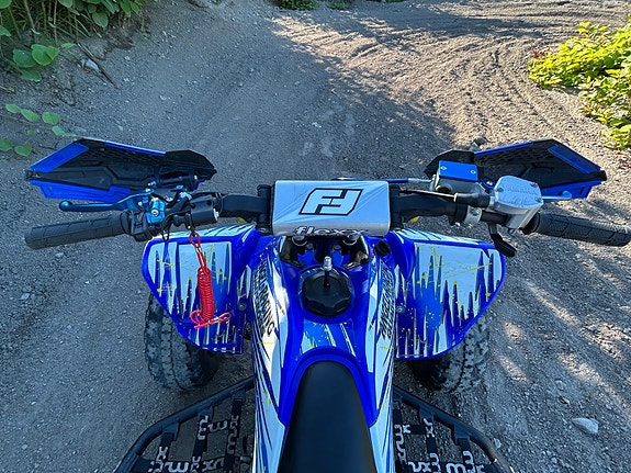 Yamaha YFM 250r 5 of 12