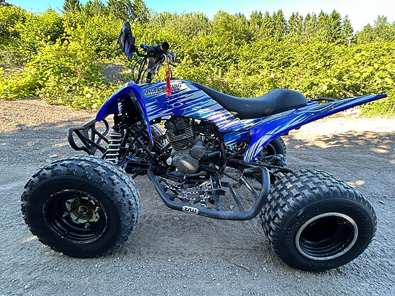 Yamaha YFM 250r 4 of 12