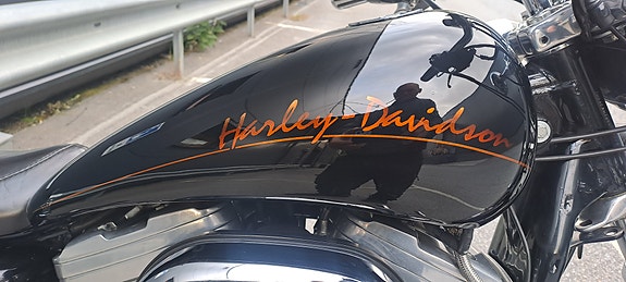 Harley-Davidson XL 883 Sportster 20 of 22