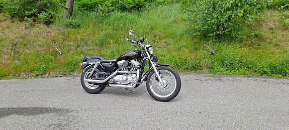 Harley-Davidson XL 883 Sportster 11 of 22