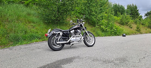 Harley-Davidson XL 883 Sportster 13 of 22
