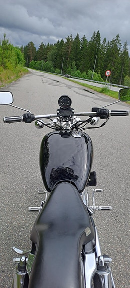 Harley-Davidson XL 883 Sportster 16 of 22
