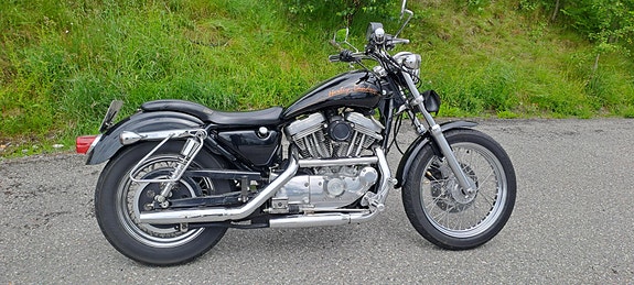 Harley-Davidson XL 883 Sportster 15 of 22
