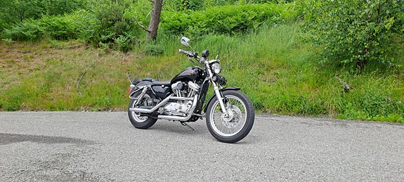 Harley-Davidson XL 883 Sportster 12 of 22