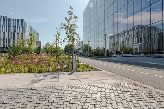 Bilde 2 av 8 i jobbannonse-galleriet