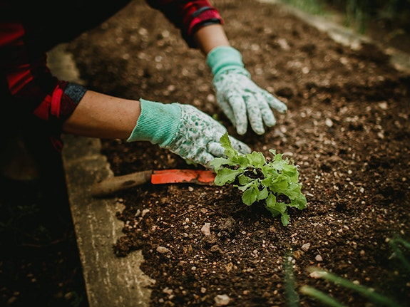 Bilde 1 av 3 i jobbannonse-galleriet