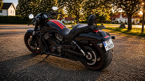 Harley-Davidson VRSCDX Night Rod Special, V&H 3 of 23