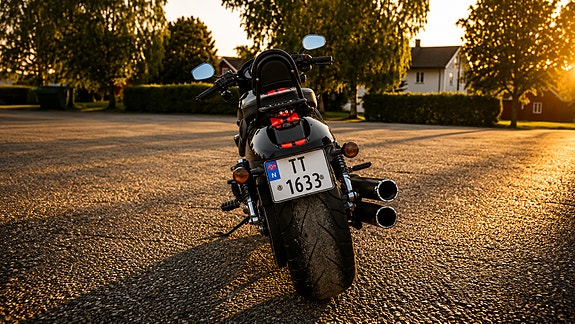 Harley-Davidson VRSCDX Night Rod Special, V&H 4 of 23