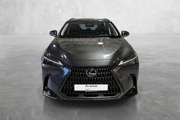 Lexus NX450h 8 of 19