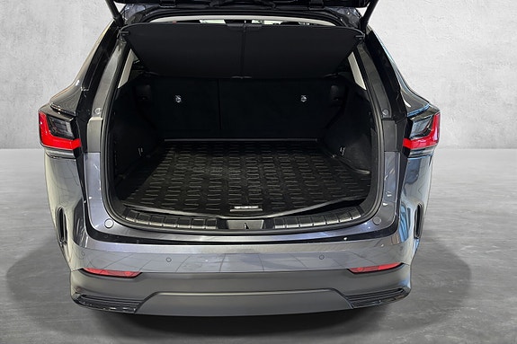 Lexus NX450h 18 of 19