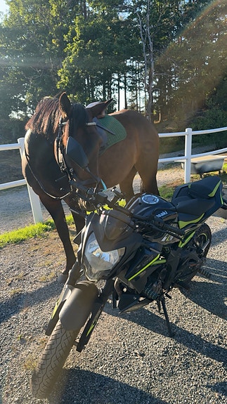 Kawasaki Z 125 2 of 2