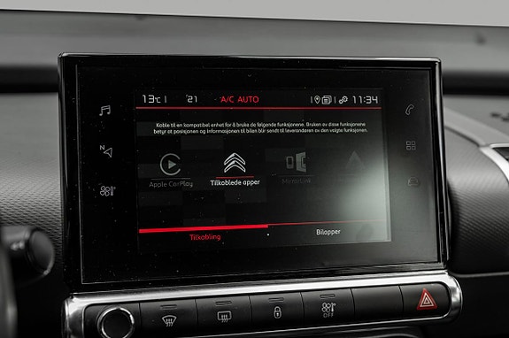 Citroen C4 Cactus 20 of 21