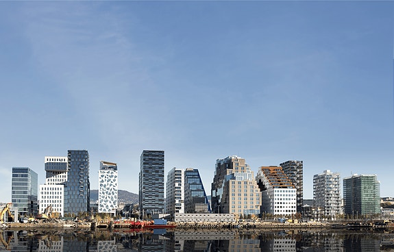 Bilde 1 av 1 i jobbannonse-galleriet